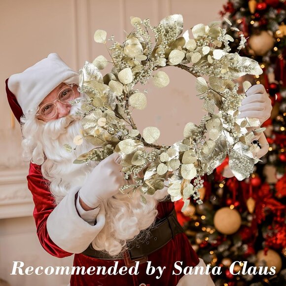 20 Inch Winter Wreath for Front Door, Winter Wreaths with Gold Eucalyptus Leaves - Picture 2 of 7